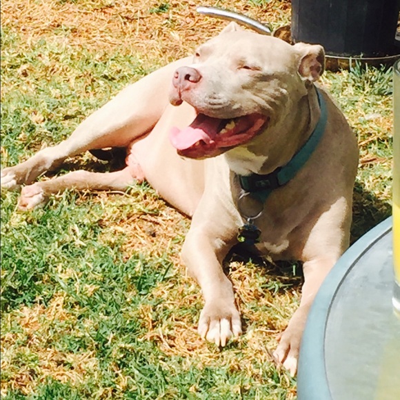 Meet your Posher, Meredith - Picture 3 of 3